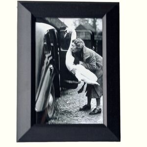 Funny, clever woman with Swan trying to get in car.Photograph Birds beach.fun